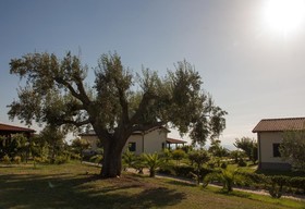 Agriturismo Ninea