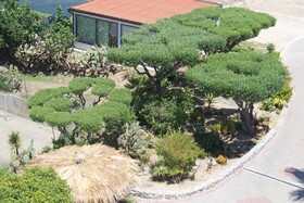 Club Sciaron Hotel Residence