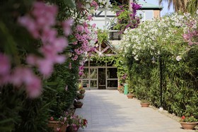 Minerva Club Resort Golf & SPA - Minerva
