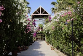 Minerva Club Resort Golf & SPA - Minerva
