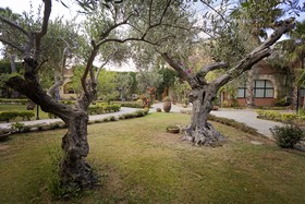 Minerva Club Resort Golf & SPA - Minerva