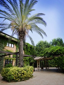 Minerva Club Resort Golf & SPA - Minerva