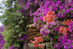 Minerva Club Resort Golf & SPA - Minerva