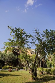 Minerva Club Resort Golf & SPA - Minerva