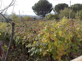 B&B La Petrosa