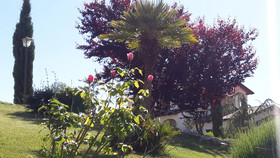 Borgo Nicoletta