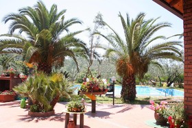 Agriturismo Costantino