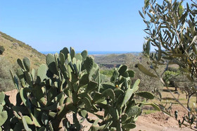 Relais Agriturismo Pansera