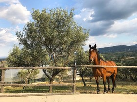 Relais Agriturismo Pansera