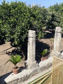 Tenuta La Torre
