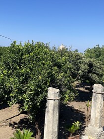 Tenuta La Torre
