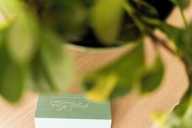 Greenlove