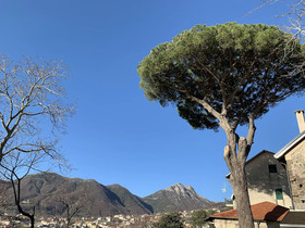 Tenuta Novecento Azienda Bioagrituritica