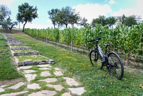 Borgo San Gregorio