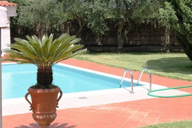 Il Giardino Dei Pini