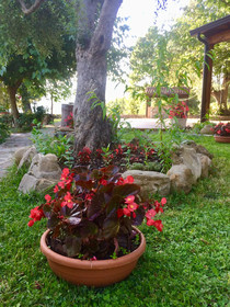 Gioi Villa Rizzo Lovely Rooms