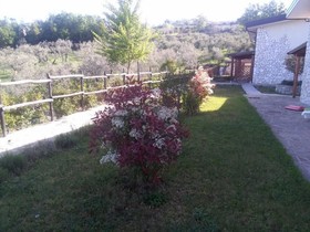 Agriturismo La Rocca Degli Ulivi