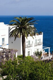J.K. Place Capri