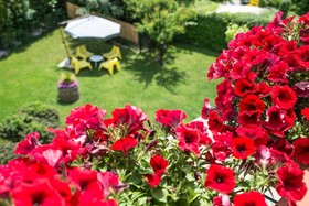 Bed and Breakfast Il Girasole