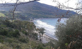 Il Patio del Cilento