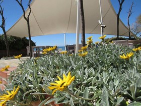 Schuhmann Strandhotel