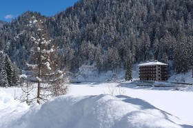 Appartamenti Cigno Bianco