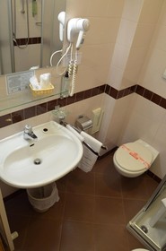 Hotel Ladina
