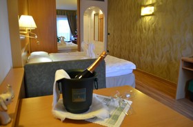 Hotel Ladina