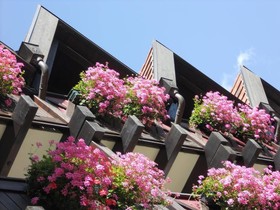 Villa Campitello