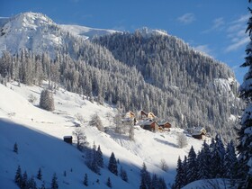 Design Chalet Zirm