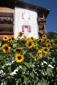 Hotel Astoria