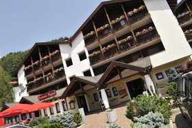 Aparhotel Des Alpes