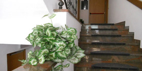 Garni Manuela