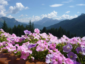 Residence Panorama