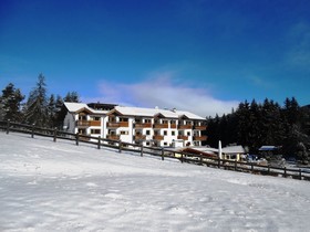 Hotel Pinei