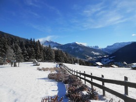Hotel Pinei