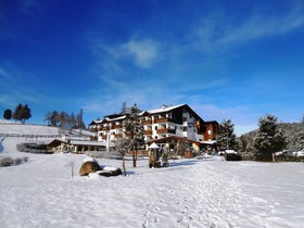Hotel Pinei