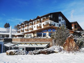 Hotel Pinei