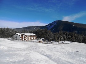 Hotel Pinei