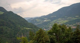 Auservogelweiderhof