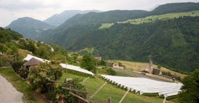 Auservogelweiderhof