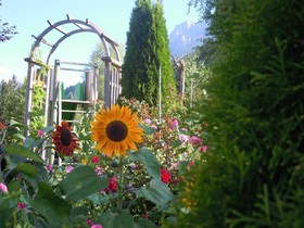 Hotel Belvedere
