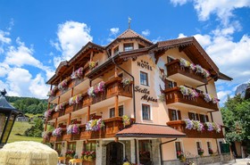 Stella Alpina