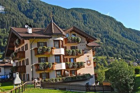 Stella Alpina