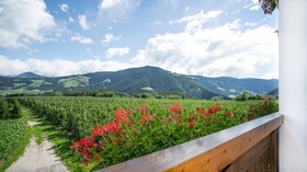 Mineralienhotel Natznerhof