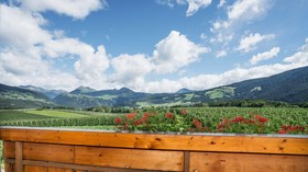 Mineralienhotel Natznerhof