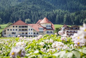 Hotel Montis