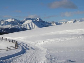 Hotel Alpenrose