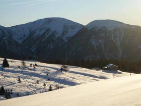 Hotel Alpenrose