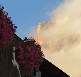 Hotel Margherita